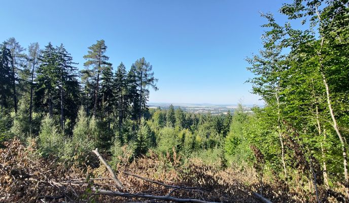 Foto 1 der Bikemap-Route "al. św. Anny do al. św. Anny" Foto 1 der Bikemap-Route "al. św. Anny do al. św. Anny"