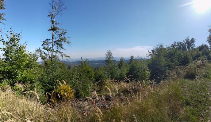 Foto 2 der Bikemap-Route "al. św. Anny do al. św. Anny" Foto 2 der Bikemap-Route "al. św. Anny do al. św. Anny"