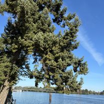 Schönwalder Straße, Falkensee nach Brauereihof, Berlin