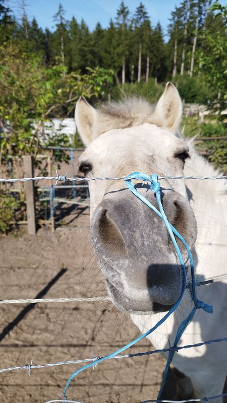 Abzweig Hahnenbalken nach Abzweig Hahnenbalken