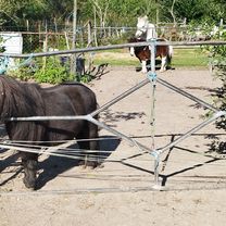 Abzweig Hahnenbalken nach Abzweig Hahnenbalken