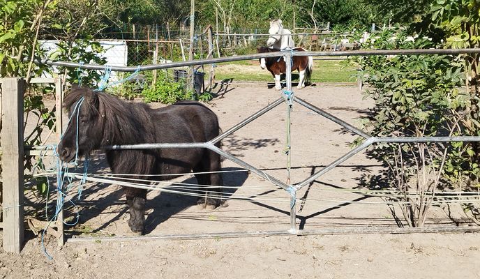 Foto 1 de la ruta de Bikemap "Abzweig Hahnenbalken nach Abzweig Hahnenbalken" Foto 1 de la ruta de Bikemap "Abzweig Hahnenbalken nach Abzweig Hahnenbalken"
