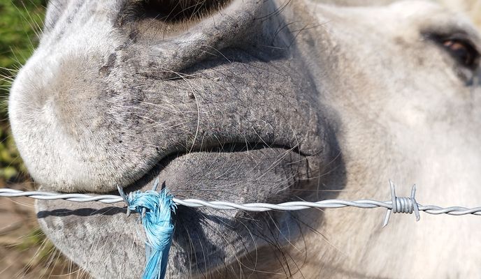 Foto 2 de la ruta de Bikemap "Abzweig Hahnenbalken nach Abzweig Hahnenbalken" Foto 2 de la ruta de Bikemap "Abzweig Hahnenbalken nach Abzweig Hahnenbalken"