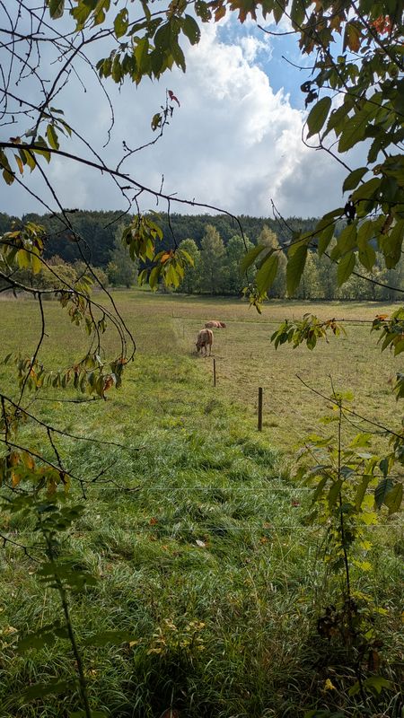Börnersberg nach Börnersberg