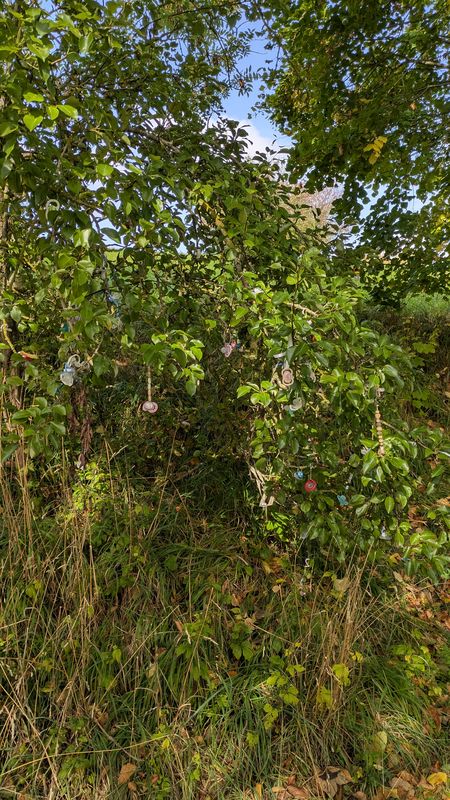 Börnersberg nach Börnersberg