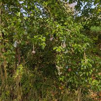 Börnersberg nach Börnersberg