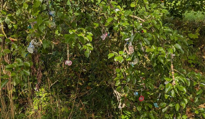 Photo 1 de l’itinéraire Bikemap « Börnersberg nach Börnersberg »