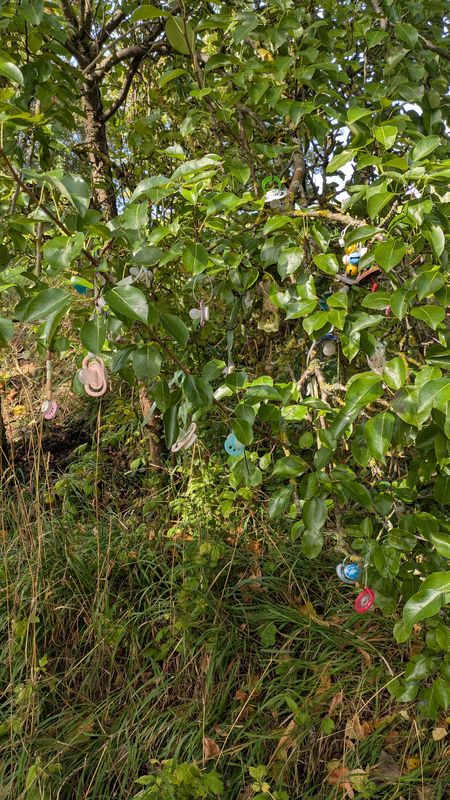 Börnersberg nach Börnersberg