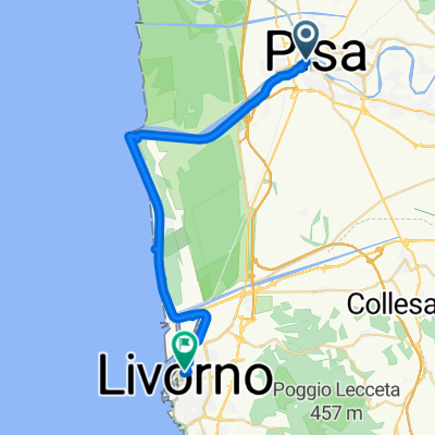 Lungarno Gambacorti nach Via Borra