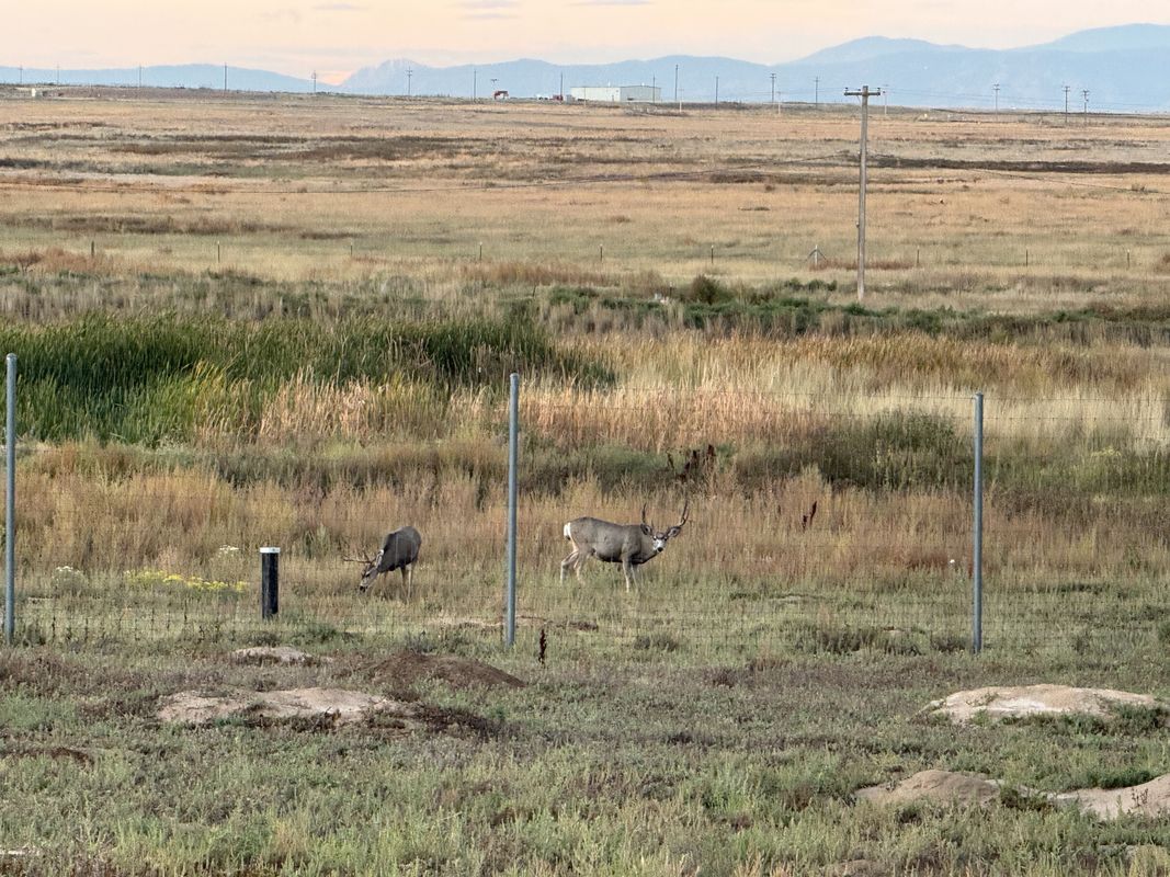 E 111th Pl, Commerce City to E 111th Pl, Commerce City