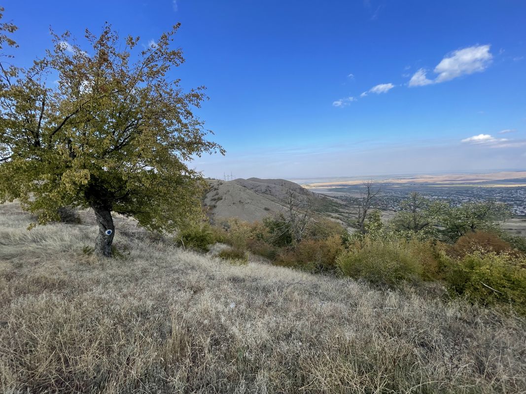 DJ229F, Frecatei to DJ229F, Frecatei