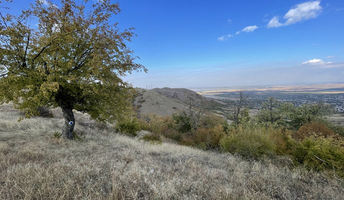 Foto 2 der Bikemap-Route "DJ229F, Frecatei to DJ229F, Frecatei" Foto 2 der Bikemap-Route "DJ229F, Frecatei to DJ229F, Frecatei"