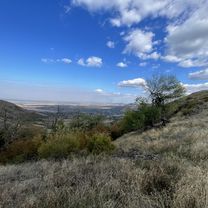 Foto 7 der Bikemap-Route "DJ229F, Frecatei to DJ229F, Frecatei" Foto 7 der Bikemap-Route "DJ229F, Frecatei to DJ229F, Frecatei"