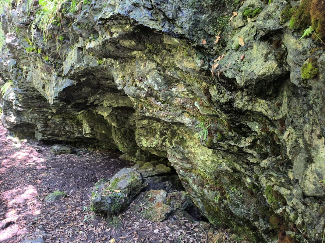 Trasa z Družstevní