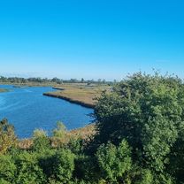 Photo 8 of the Bikemap route "Neue Straße nach An der Mühle"