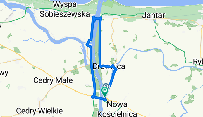 króliki