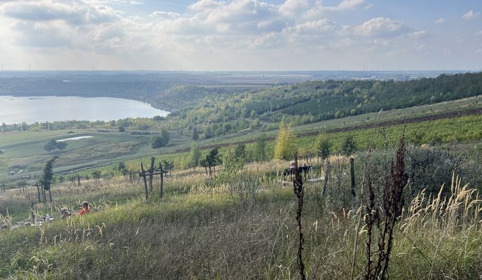 Foto 1 de la ruta de Bikemap "Thomas-Müntzer-Straße, Teutschenthal nach Thomas-Müntzer-Straße, Teutschenthal"