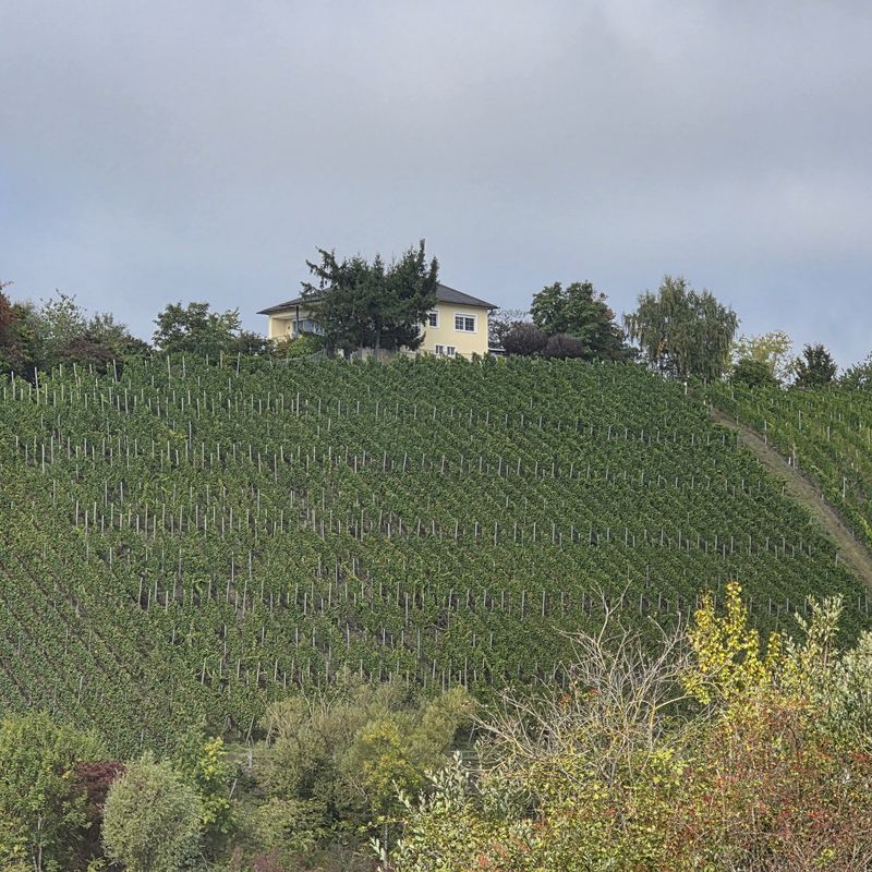 Am Saarufer nach Am Saarufer