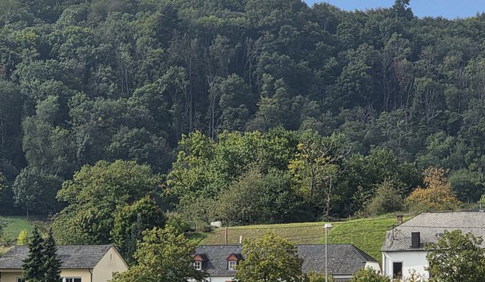Photo 1 of the Bikemap route "Am Saarufer nach Am Saarufer"