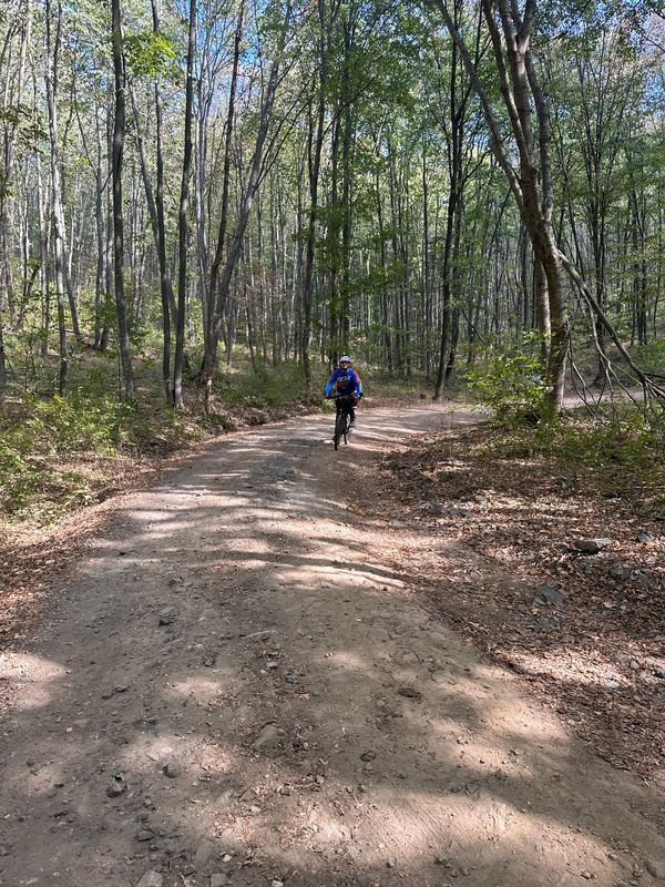 Manastirea Celic-Dere - Nifon și retur