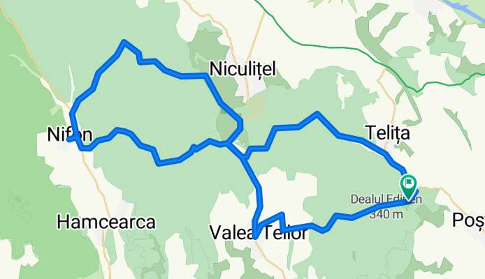 Manastirea Celic-Dere - Nifon și retur