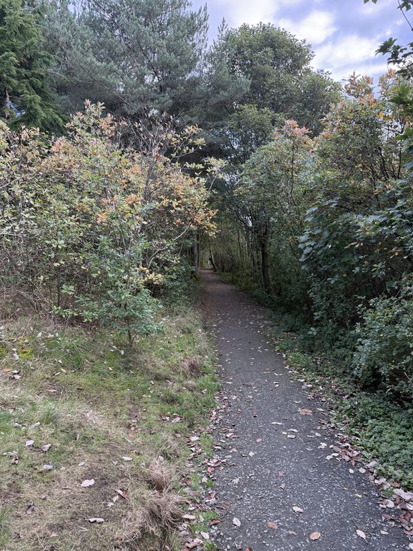 Bowes Street, Blyth nach Bowes Street, Blyth