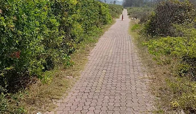 Zdjęcie 1 trasy Bikemap „treino”