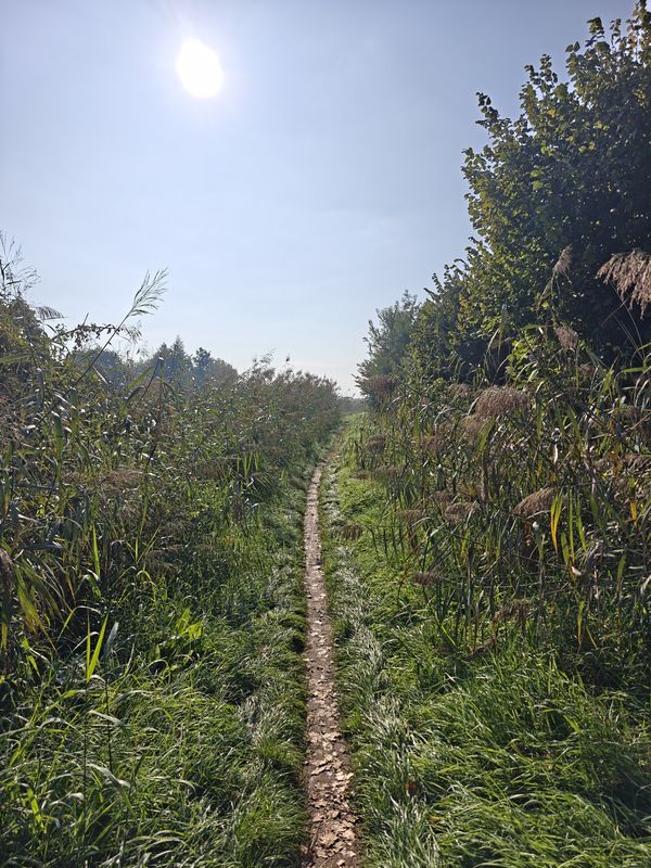 Buurt Gravel