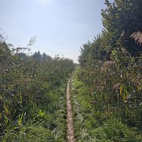 Buurt Gravel