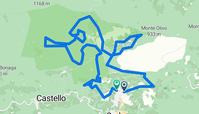 Serle Ciclismo su strada