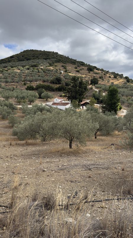Pyrgiotiko naar Pyrgiotiko