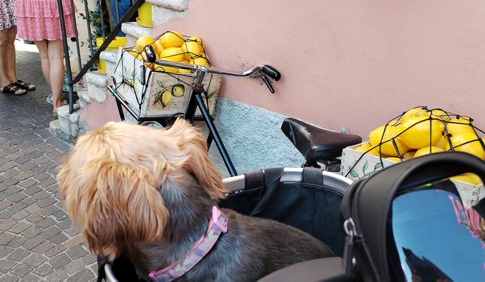 Foto 1 de la ruta de Bikemap "RivaD/G nach Limone"