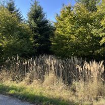 Lindenstraße, Haldensleben nach Lindenstraße, Haldensleben