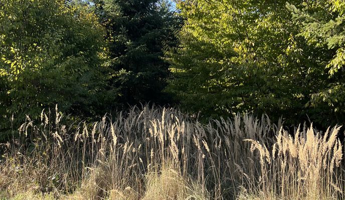 Foto 1 de la ruta de Bikemap "Lindenstraße, Haldensleben nach Lindenstraße, Haldensleben"