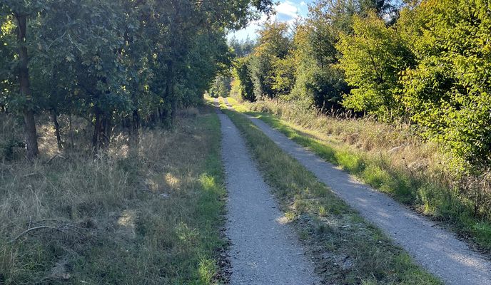 Foto 2 de la ruta de Bikemap "Lindenstraße, Haldensleben nach Lindenstraße, Haldensleben"