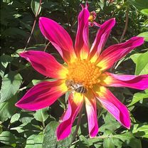 Foto 8 de la ruta de Bikemap "Da Via Papa Luciani a Via Papa Luciani"