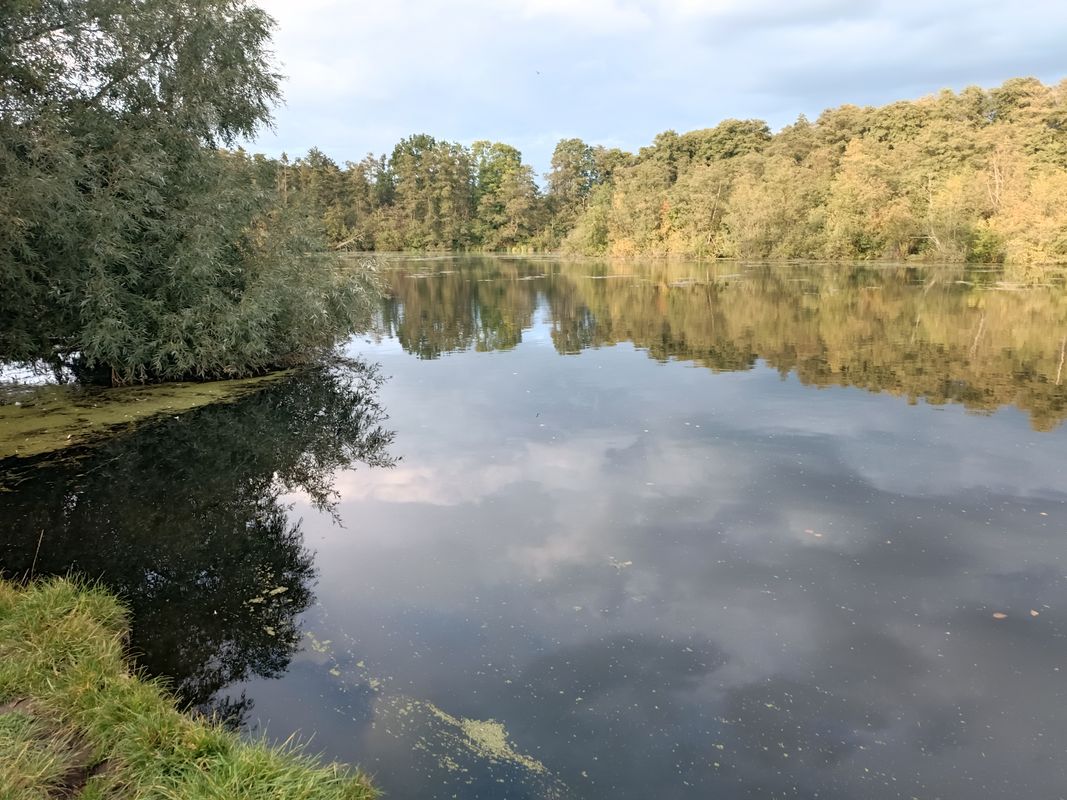 Am Wilden Teich nach Am Wilden Teich