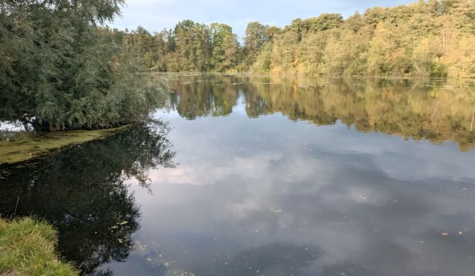 Foto 2 der Bikemap-Route "Am Wilden Teich nach Am Wilden Teich" Foto 2 der Bikemap-Route "Am Wilden Teich nach Am Wilden Teich"