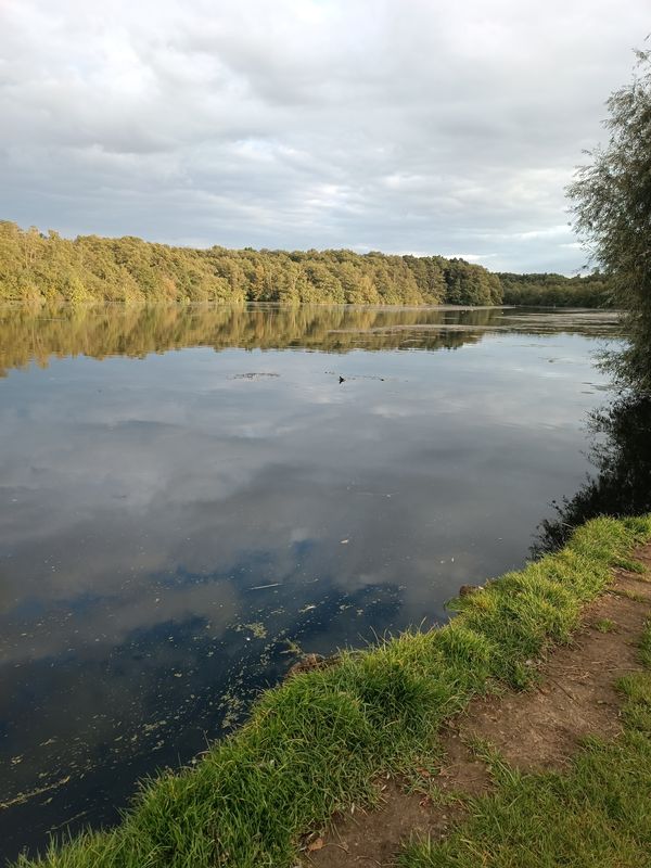 Am Wilden Teich nach Am Wilden Teich