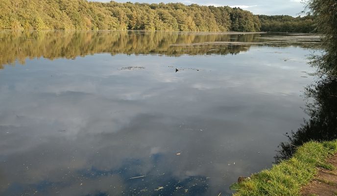 Foto 1 der Bikemap-Route "Am Wilden Teich nach Am Wilden Teich" Foto 1 der Bikemap-Route "Am Wilden Teich nach Am Wilden Teich"