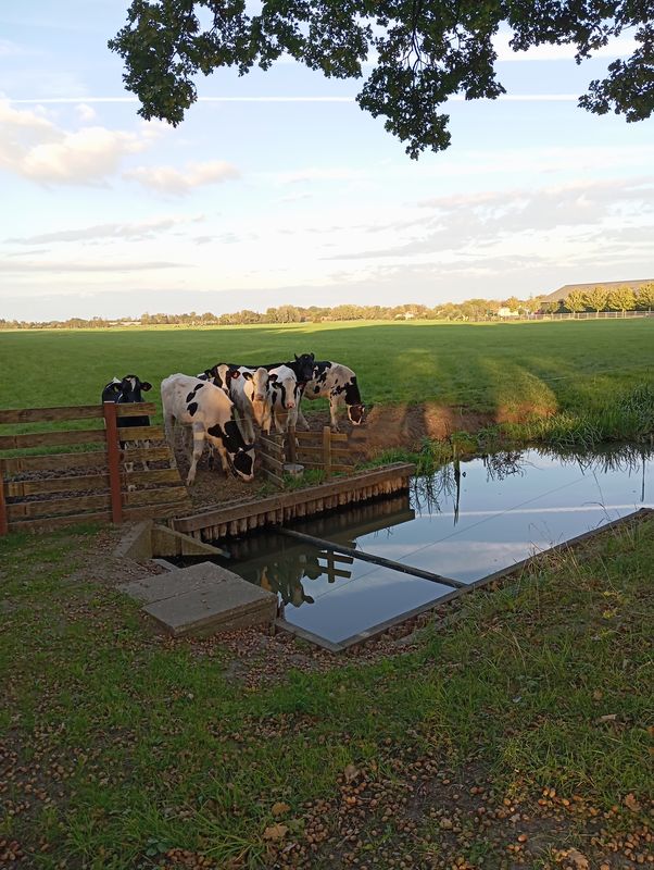 Rijksstraatweg naar Hunthum
