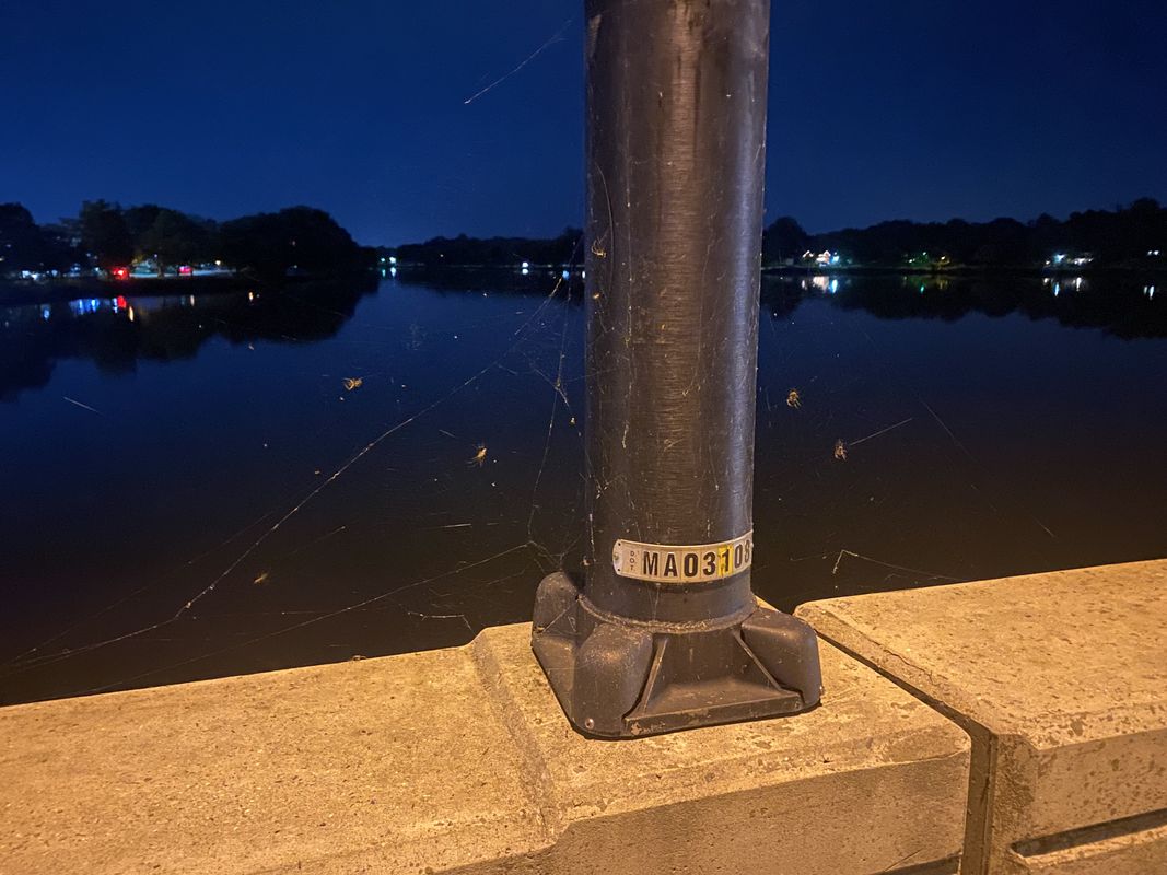 Hutchinson Ave, Barrington to Whitman Dr, Barrington