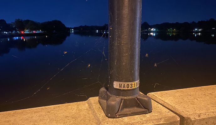 Photo 1 of the Bikemap route "Hutchinson Ave, Barrington to Whitman Dr, Barrington"