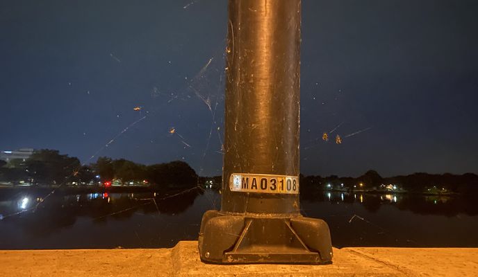 Photo 2 of the Bikemap route "Hutchinson Ave, Barrington to Whitman Dr, Barrington"