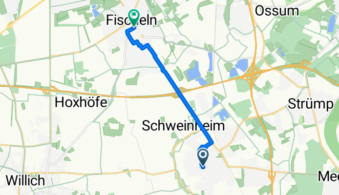 Neurologie Fischeln