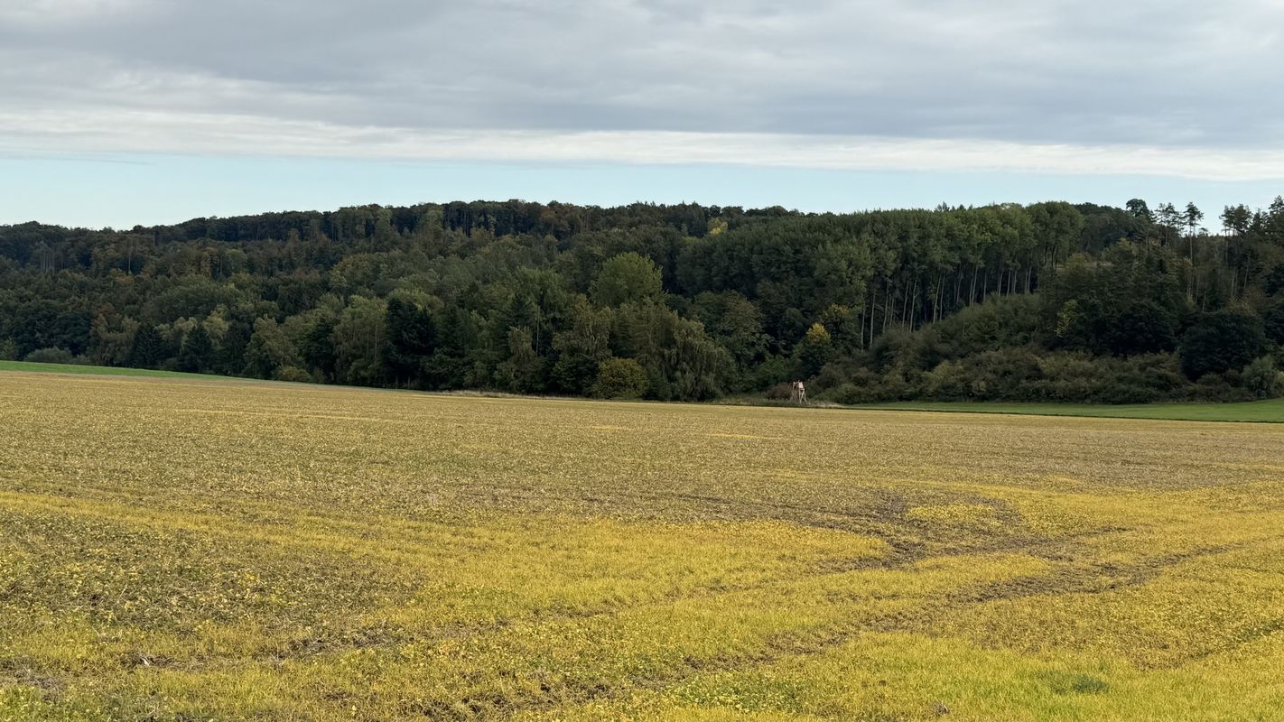 Am Jägerpfad, Willebadessen naar Am Jägerpfad, Willebadessen