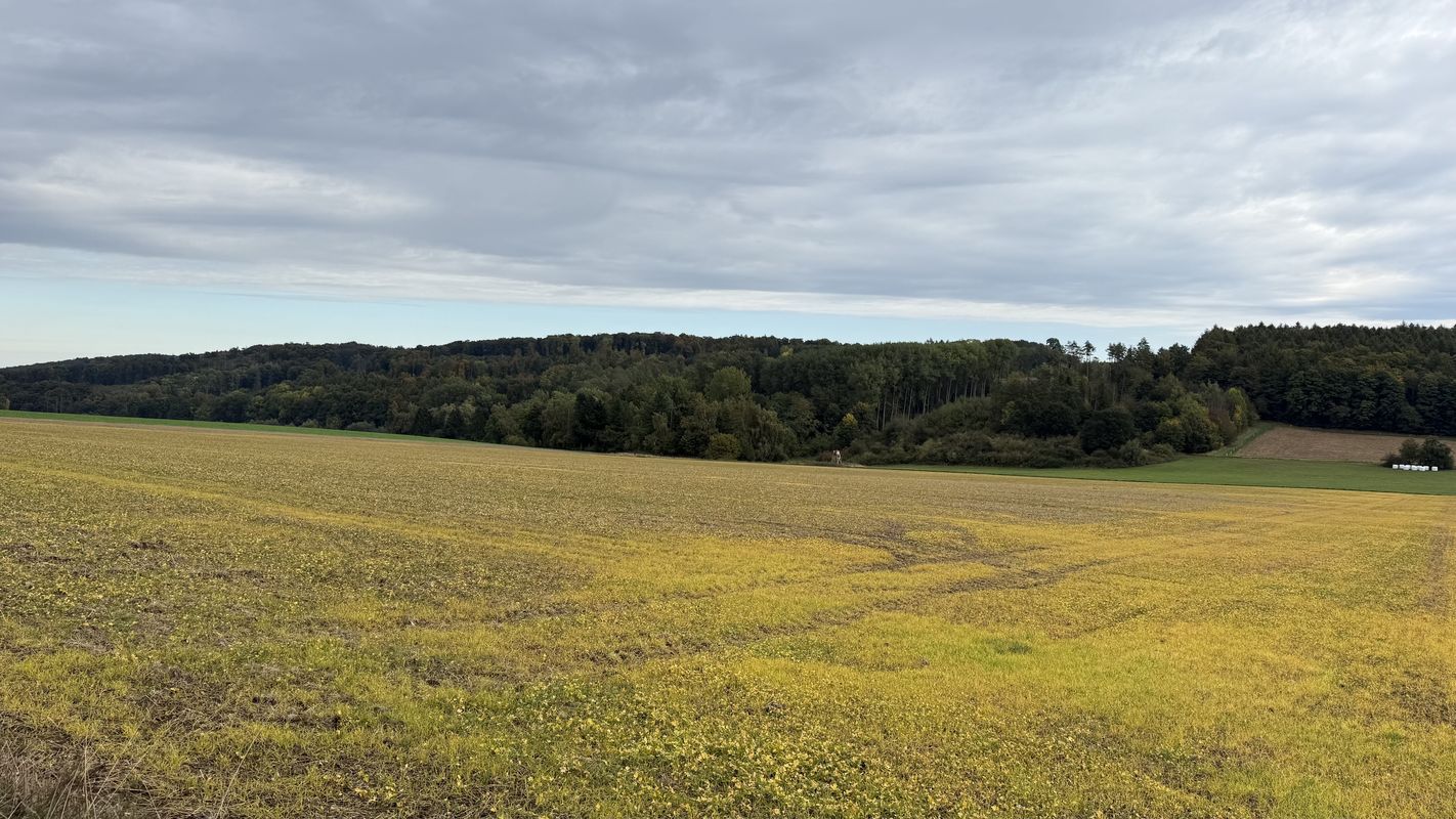 Am Jägerpfad, Willebadessen naar Am Jägerpfad, Willebadessen