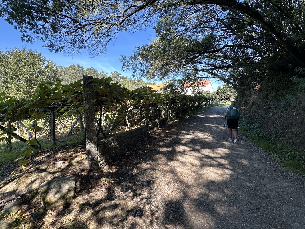Camino Português - Day 10 | Arcade to Barro