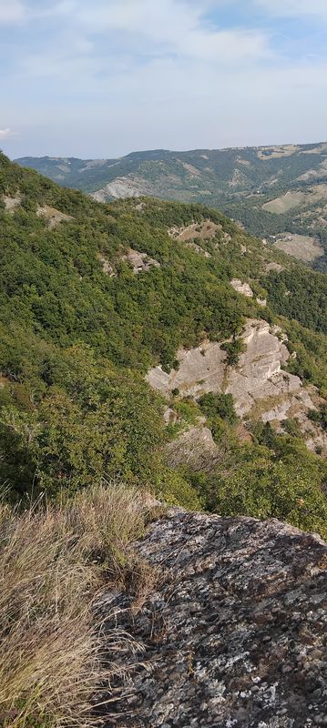 Da Via Zena a Monte Bibele