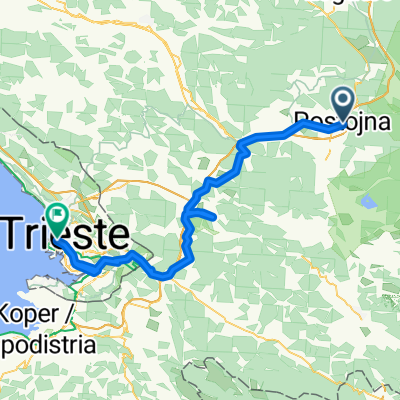 Postojne to Trieste